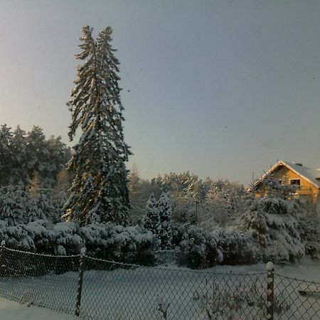 Gosciniec Nad Stawem Villa Szczytno  Exteriör bild